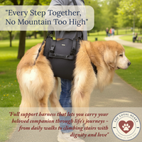 "Gentle Support Harness for Aging Dogs – Walk Together Again | The Loyal Heart"